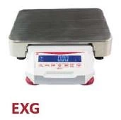 Modelo EXG150002 Balanza de LABORATORIO